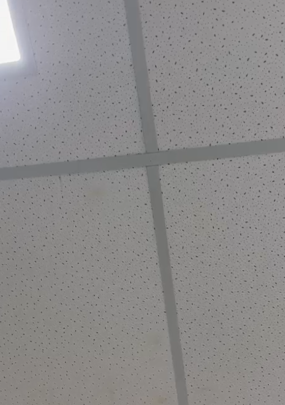 plafon akustik contoh